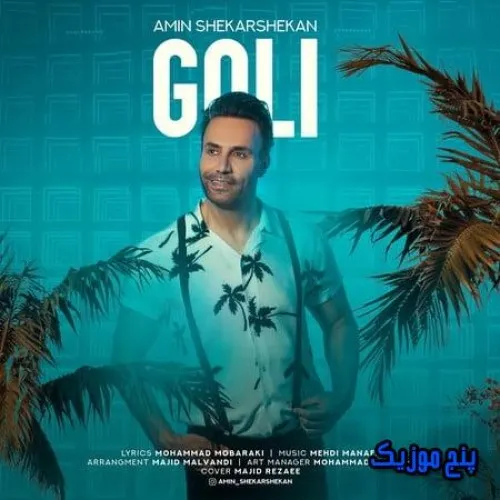 دانلود آهنگ گلی امین شکرشکن
