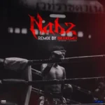 دانلود آهنگ  نبض Nabz ریمیکس بی بی سی ریمیکس