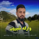 دانلود آهنگ هُم صدا و هُم پا یَک محسن خیری اوروند