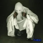 دانلود آهنگ پروانه دورچی