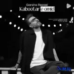 دانلود آهنگ گرشا رضایی کبوتر امید دانلود آهنگ گرشا رضایی کبوتر امید